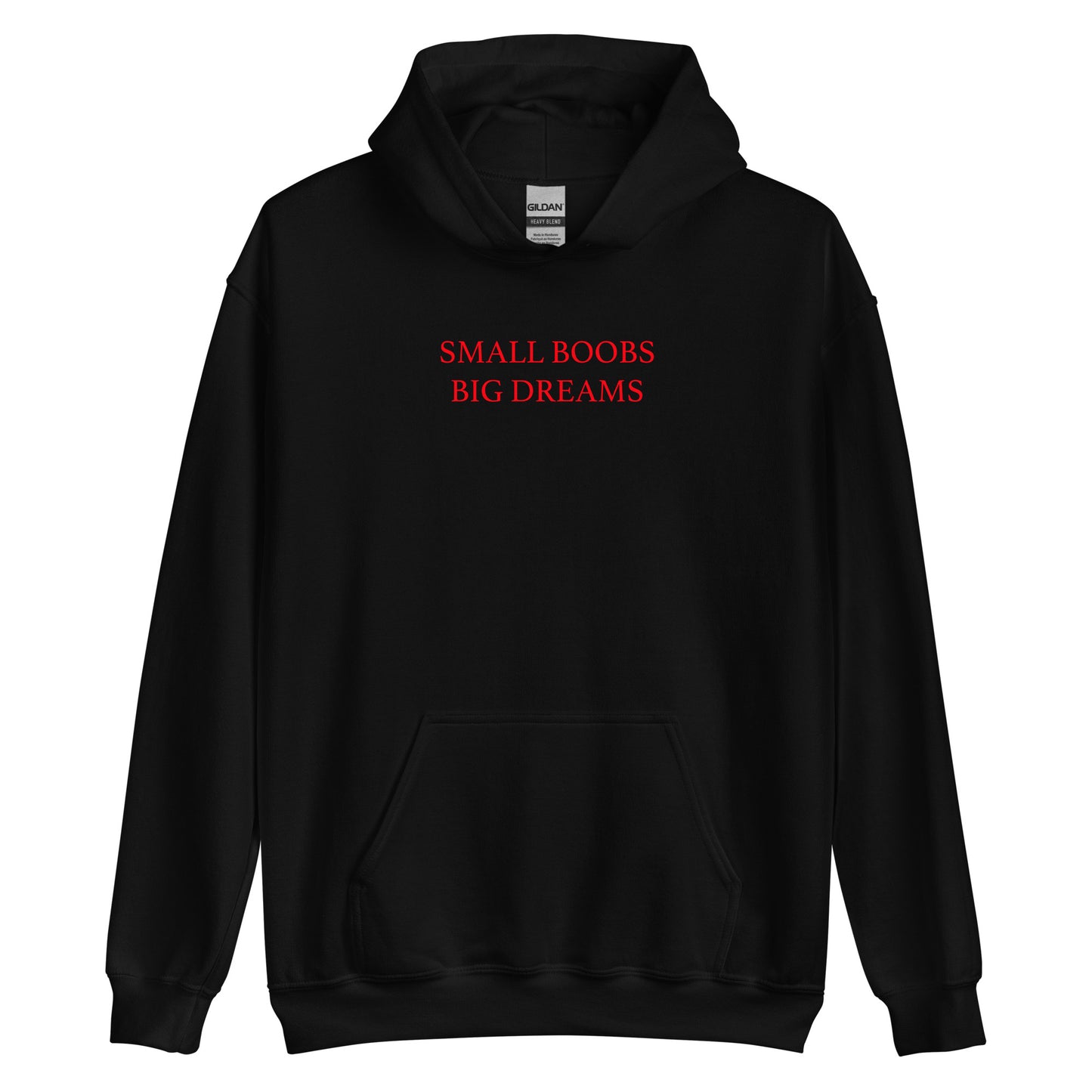 Small Boobs Big Dreams Y2k Clothing Aesthetic Alt Hoodie