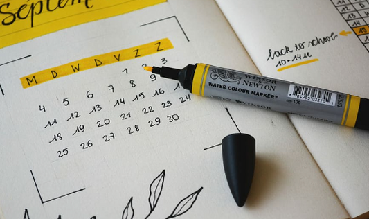 Best Bullet Journals 2024 for Organizing Your Life