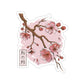 Japanese Aesthetic Sakura Blossom Flowers Sticker